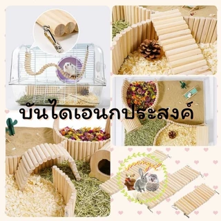 [hamstertravel]บันไดปีนป่ายสำหรับแฮมสเตอร์, ของเล่นตกแต่งรั้ว, สะพานไม้โค้ง, อุปกรณ์สำหรับแฮมสเตอร์