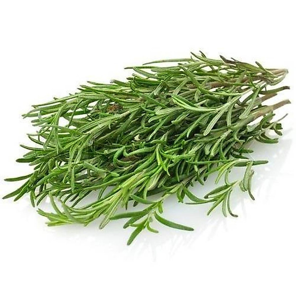 โรสแมรีเมล็ดพันธุ์ สำหรับปลูก Rosemary ออร์แกนิค 9-25 เมล็ด มีคู่มือการปลูก