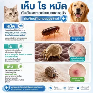 🌿 Ketzuzu โฟมอาบน้ำแห้งสัตว์เลี้ยง สำหรับสุนัขและแมว สูตรออร์แกนิก ผิวแพ้ง่าย ลดไข่เห็บ ลดคันเกา แชมพูสุนัข 250ml/450ml