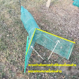 ดักปลา ลอบดักปลาใหญ่ ที่ดักกุ้งฝอย ปลาเข้าง่าย โต่ง พับเก็บง่าย เหมาะสำหรับส่วนแม่น้ำที่เชี่ยว