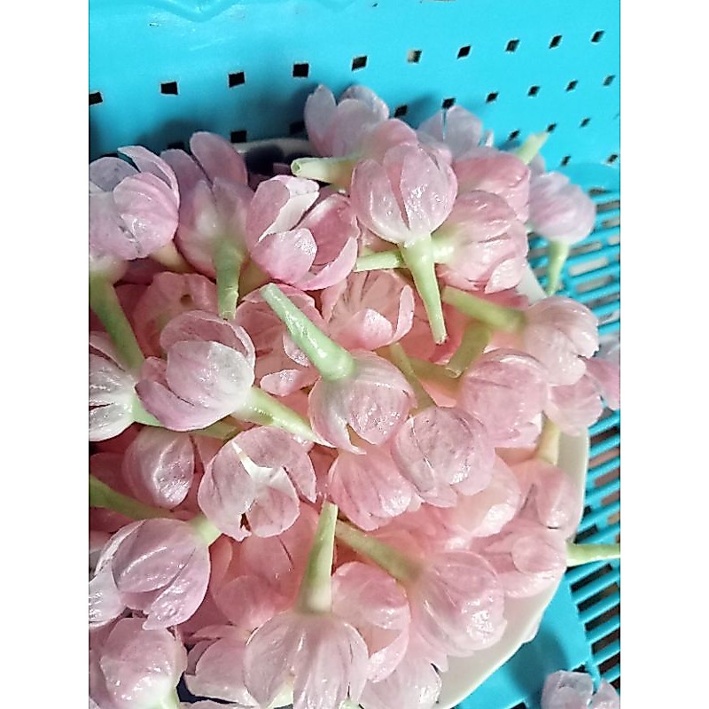 มะลิแย้มสีชมพู  ดอกไม้ประดิษฐ์สีชมพู100ดอก