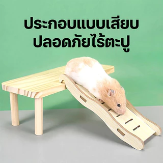 [HAMSTER TRAVEL] แฮมสเตอร์บันไดไม้หลีกเลี่ยงอุโมงค์ปีนไม้ของเล่นเบิร์ชสะพานโค้งหลุมต้นไม้ชั้นหมวก TZ