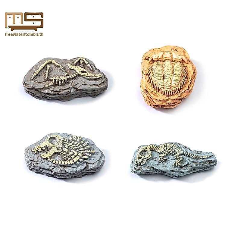 Tt 4 ชิ้นฟอสซิลไดโนเสาร์ Miniatures สําหรับเดสก์ท็อปตกแต่งสมจริง DIY ภูมิทัศน์ Accents mbn