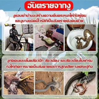 🐍ขับไล่งู ยาวนาน ไม่กลัวฝน🐍ยาป้องกันงู ยาไล่งู ไล่งู ก้อนไล่งู 1 ถุง 10 เม็ด จากงูและแมลง ใช้วางป้องกันไม่ให้งูเข้าใกล้