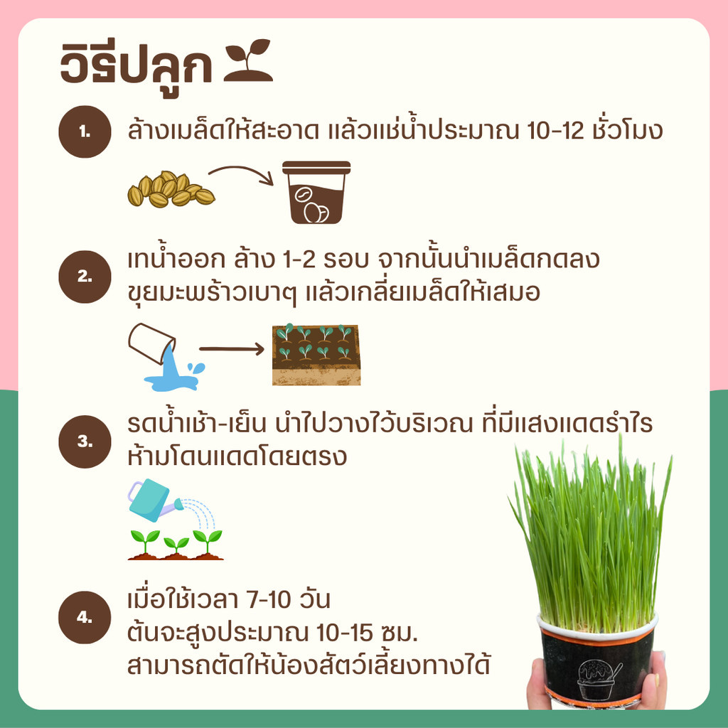 มุมมอง 4