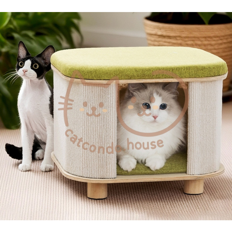 Cathouse บ้านแมวสไตล์ญี่ปุ่น +นั่งได้  เก้าอี้แมวมัลติฟังก์ชัน มีที่ข่วน+เบาะนอน+ลูกบอลเล่น ทรงมินิมอล - รูปที่ 4