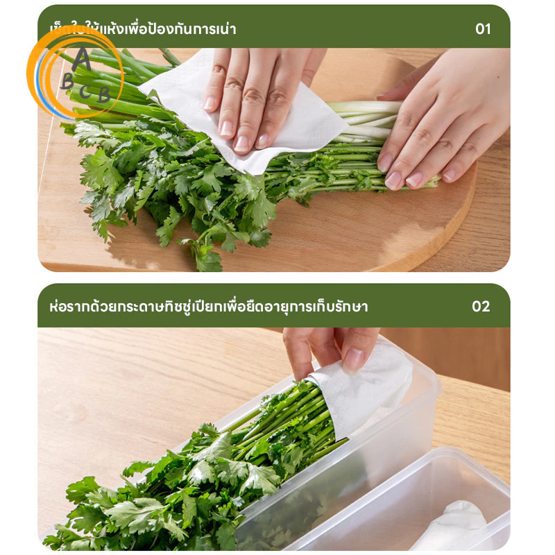 Fresh Boxกล่องเก็บผักผลไม้ กล่องมหัศจรรย์ ยืดอายุผักผลไม้ให้สดใหม่ เก็บได้นานขึ้น จัดตู้เย็นเป็นระเบียบ thumbnail 8