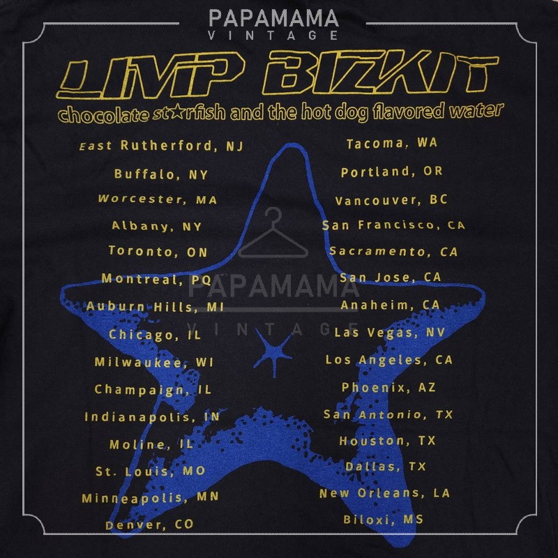 LIMPBIZKIT North America Tour DeadStock 2000s tag รูปที่ 6