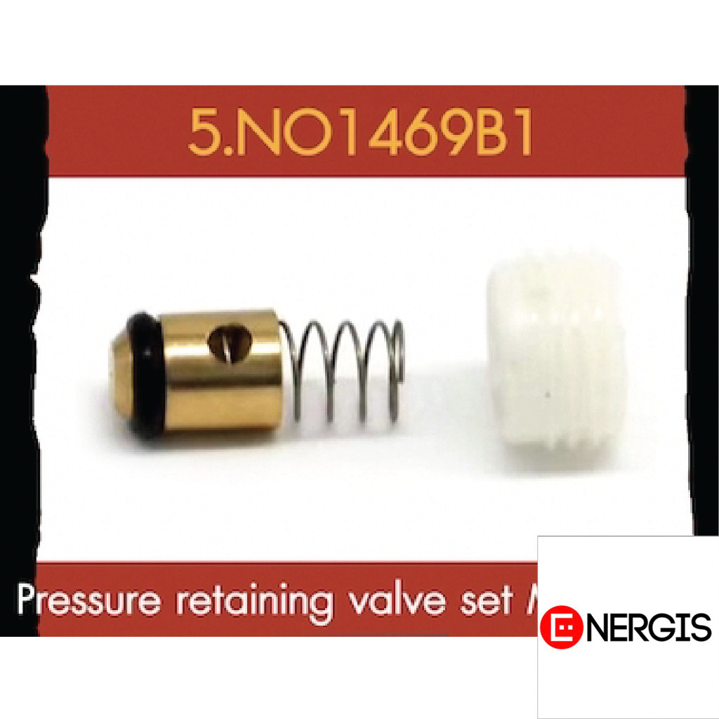Flow Energy - NO1469B1 อะไหล่ หัวปั๊มเก่า ชุด Pressure retaining valve set M6 /M9 / B1