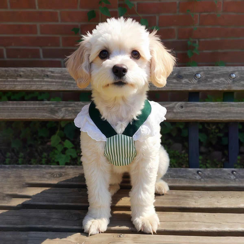 SKISOPGO เสื้อผ้าสัตว์เลี้ยง กระโปรงสัตว์เลี้ยง เสื้อผ้าคอสเพลย์สัตว์เลี้ยง ใช้สายจูง สายจูงหมา - รูปที่ 4