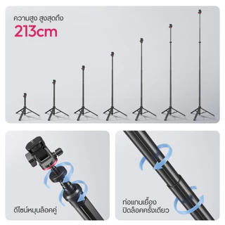 Ulanzi MT80 ขาตั้งกล้อง ขาตั้งไฟสตูดิโอ กางอัตโนมัติ สูง 213cm รับน้ำหนัก 5kg ขนาดพกพา