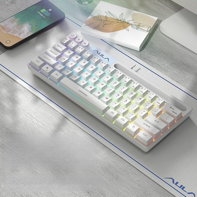 คีย์บอร์ด Wolf Spider F3061 แบบมีสายขนาดเล็ก 64 ปุ่ม RGB สำหรับแล็ปท็อปธุรกิจและสำนักงาน