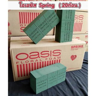 โอเอซิส Spring ลังสีแดง โฟมปักดอกไม้สด