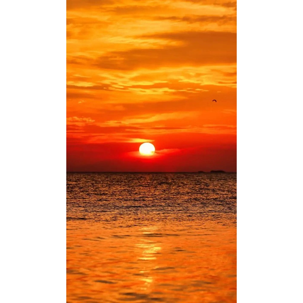 ภายในรถ Sun Visor ผู้ถือแว่นตาแว่นตากันแดดคลิปสําหรับ Toyota harrier XU30 XU60 XU80 30 60 80 Venza