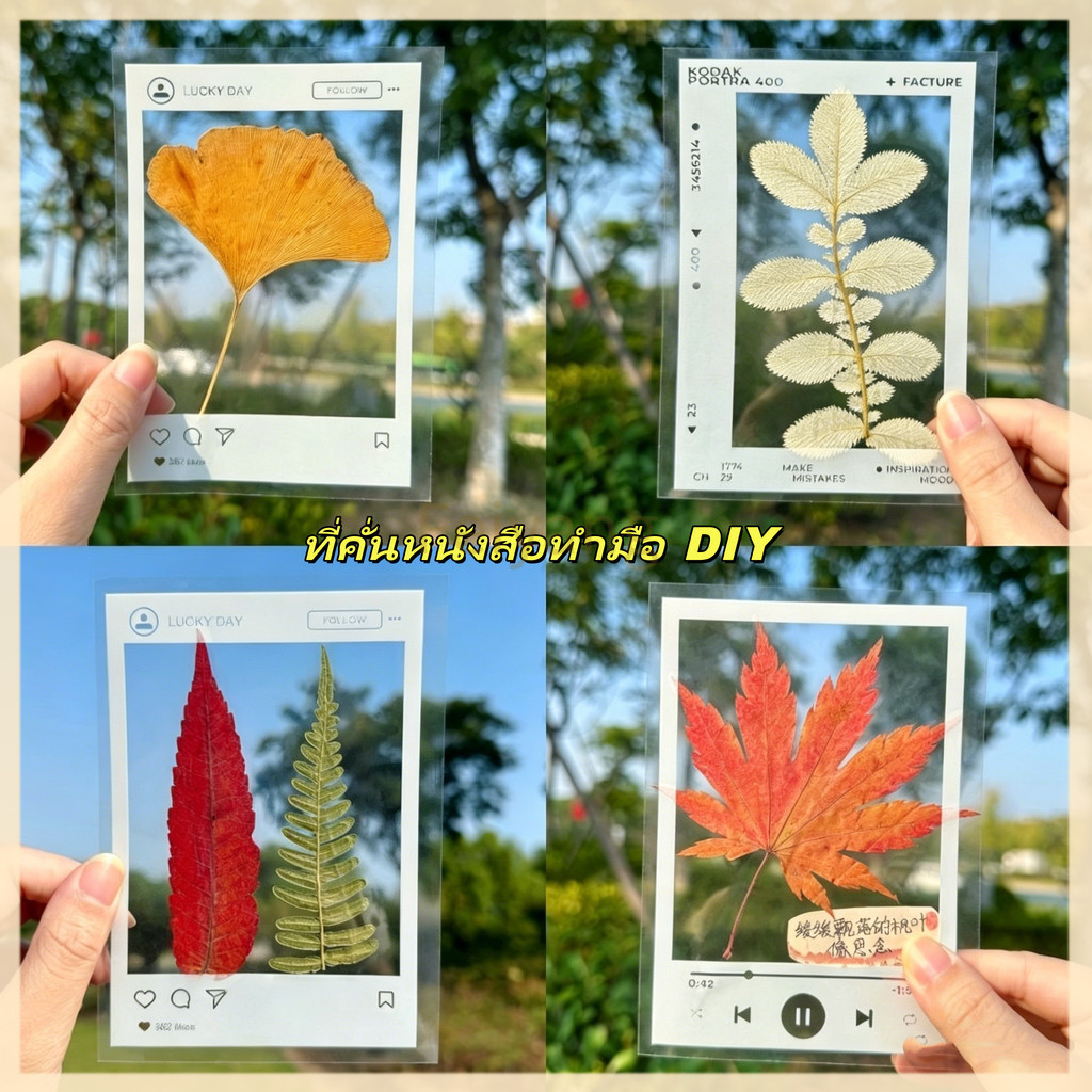 Feiyang ที่คั่นหนังสือทำมือ DIY ที่คั่นหนังสือดอกไม้แห้งโปร่งใส กรอบตัวอย่างพืชแบบนูน ที่คั่นหนังสือ แฮนด์เมด