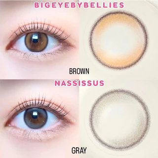 🔥คอนแทคเลนส์ ✨ขนาดมินิ✨Silicone Hydrogel ค่าอมน้ำ 60%✨Nassissus✨Mayalens Premium