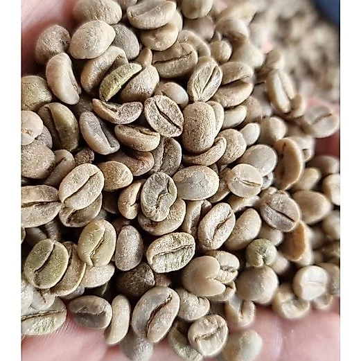 เมล็ดกาแฟสารดำ พร้อมคั่ว