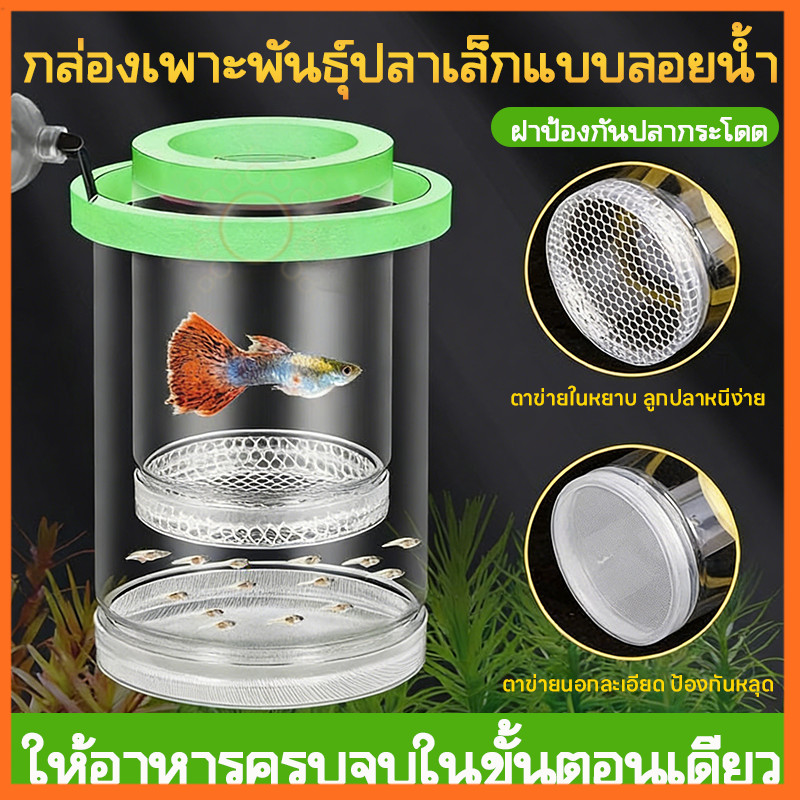กล่องฟักไข่ปลาแบบลอยน้ำ กล่องแยกปลาโปร่งใส ป้องกันแม่กินลูก เพิ่มอัตราการรอดชีวิตลูกปลา อุปกรณ์ฟักไข่ตู้ปลา