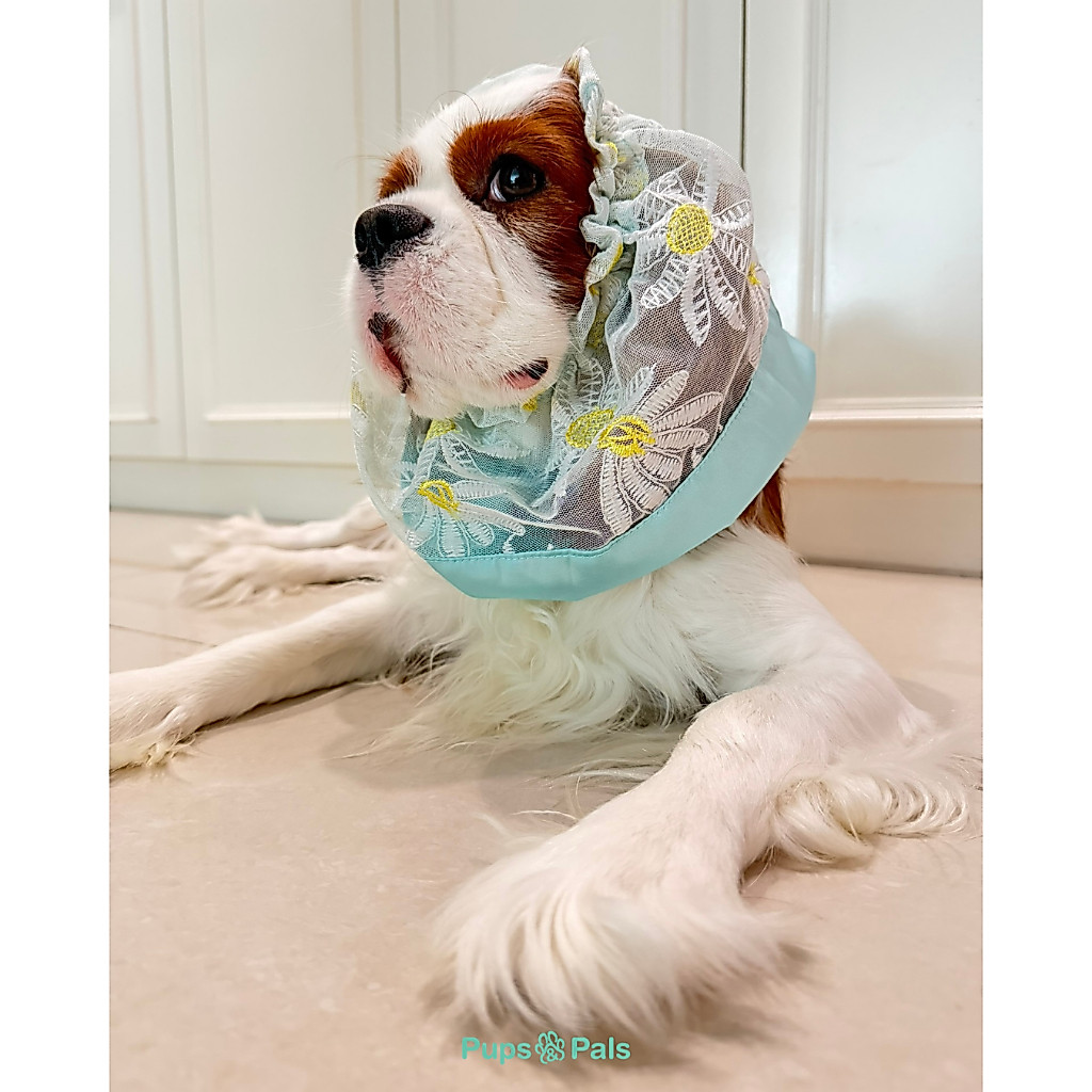Pups&Pals Pet Snood - See Through Fabric ระบายอากาศขั้นสุด คลุมกันเลอะสำหรับสุนัขและแมว