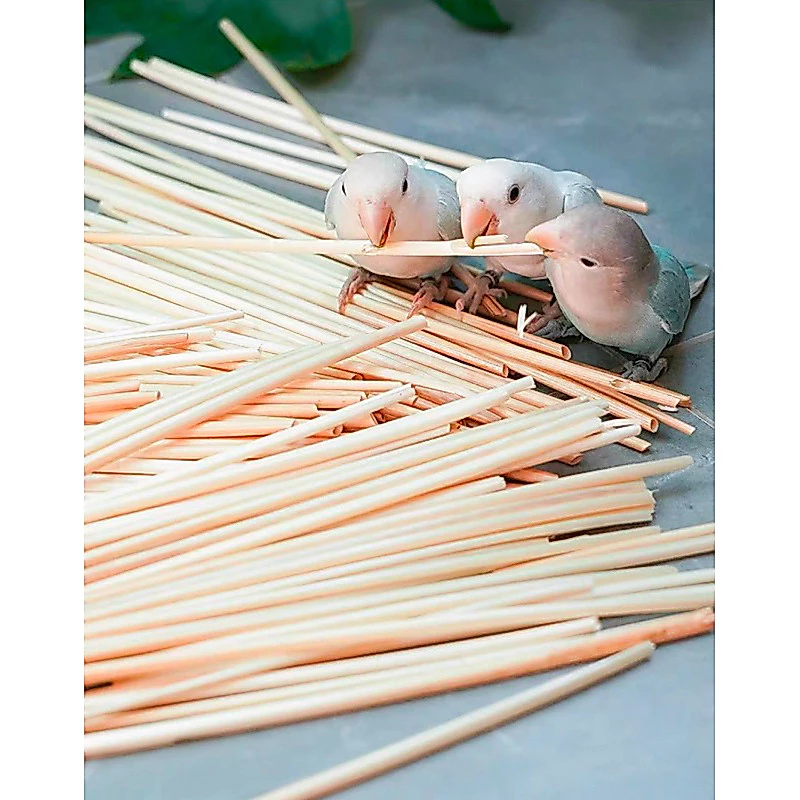 ก้านข้าวสาลี ของเล่นกัดแทะสำหรับนกแก้ว วัสดุจากธรรมชาติ ขนาด 20 กรัมและ 50 กรัม พร้อมส่ง!!