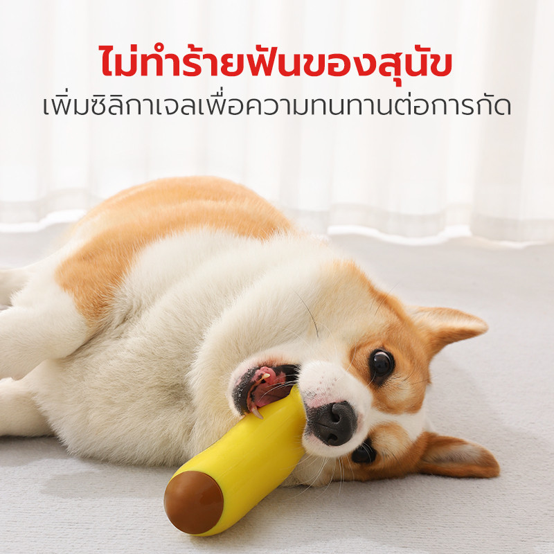 Pet Star لعبة مضغ لتنظيف الأسنان للقطط والكلاب — صورة 4