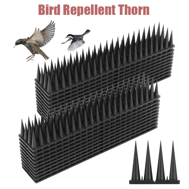 Anti Bird Barrier และ Pest Control Bird Spikes Anti Pigeon เล็บรั้ว Bird Spikes Bunnings