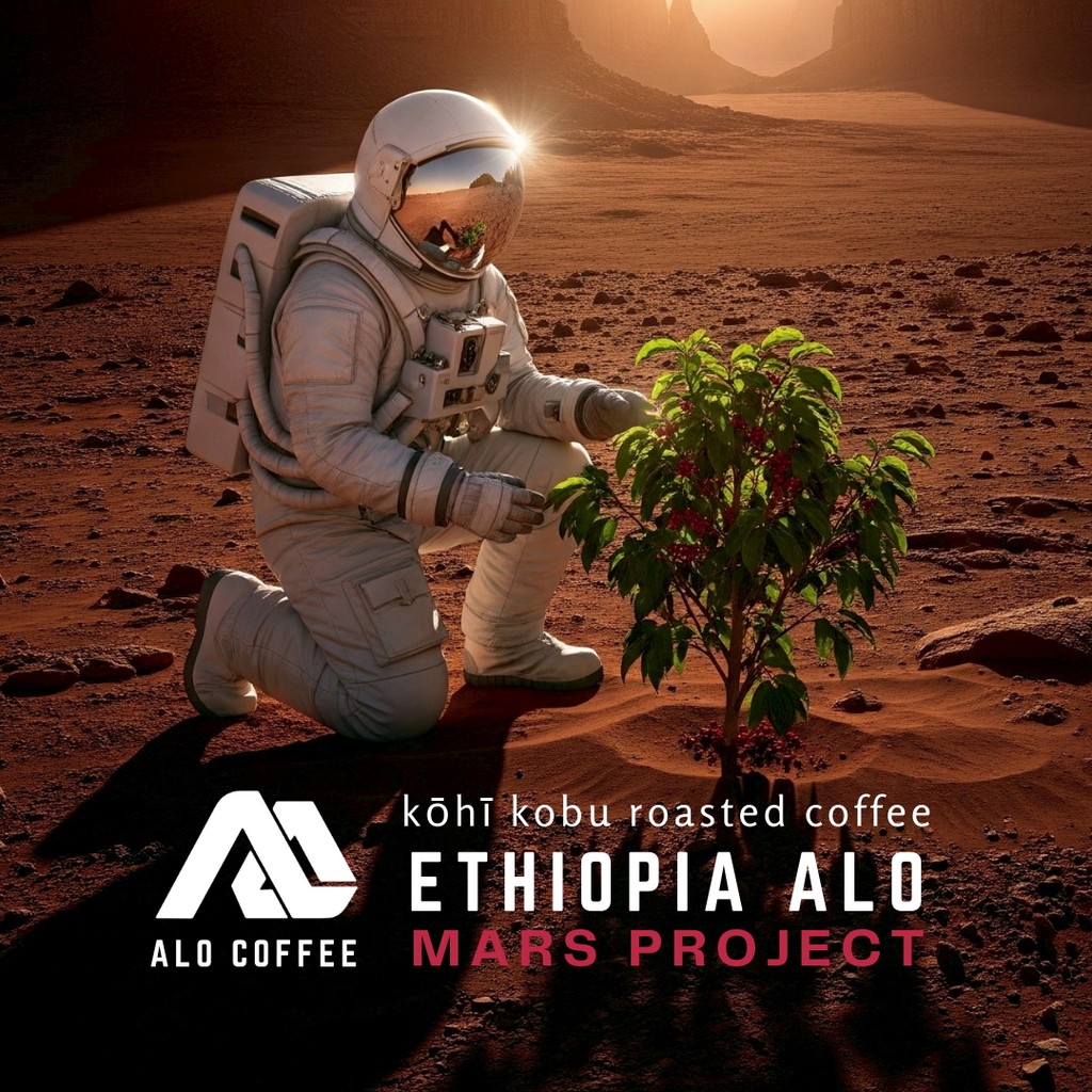 Ethiopia Alo Mars Project | Specialty Coffee Grade Score 90+ | กาแฟเกรดประกวด | เมล็ดกาแฟพิเศษ คั่วอ่อน โคฮี โคบุ ราคา ถูกที่สุด ดีลบีเคเค