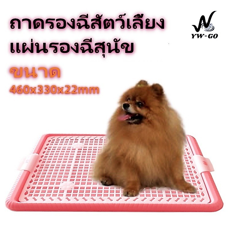 ถาดรองฉี่สัตว์เลี้ยง ห้องน้ำสุนัข แผ่นรองฉี่สุนัข กระโถนในร่มแบบเรียบง่าย (พร้อมส่งค่ะ) CW82