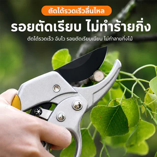 กรรไกรสวนอเนกประสงค์ ใบมีด SK5 ตัดกิ่งไม้ ตัดแต่งต้นไม้ ด้ามจับสบายมือ มีตัวล็อค พกพาง่าย ใช้ในบ้านและสวน อุปกรณ์ทำสวน