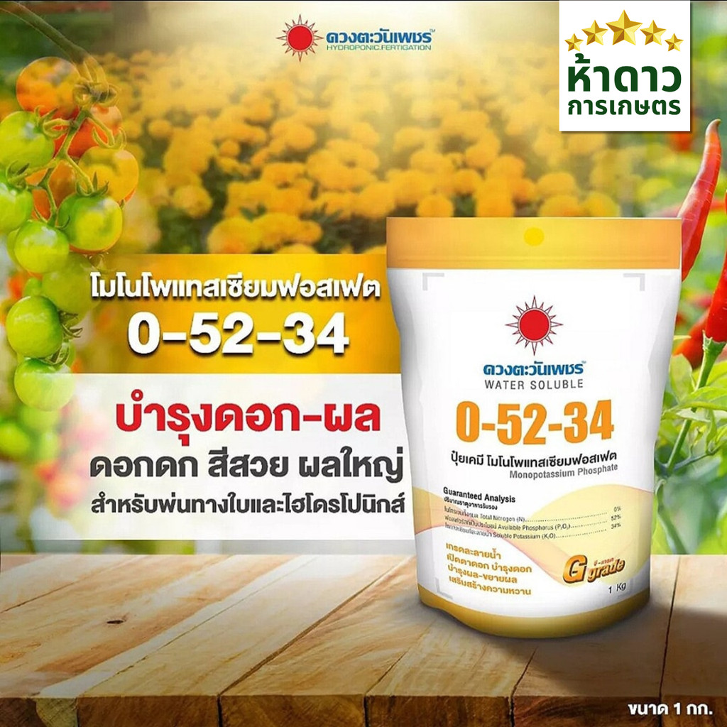 0-52-34 ดวงตะวันเพชร โมโนโพแทสเซียมฟอสเฟต สะสมอาหาร เปิดตาดอก ลดดอกหลุดร่วง