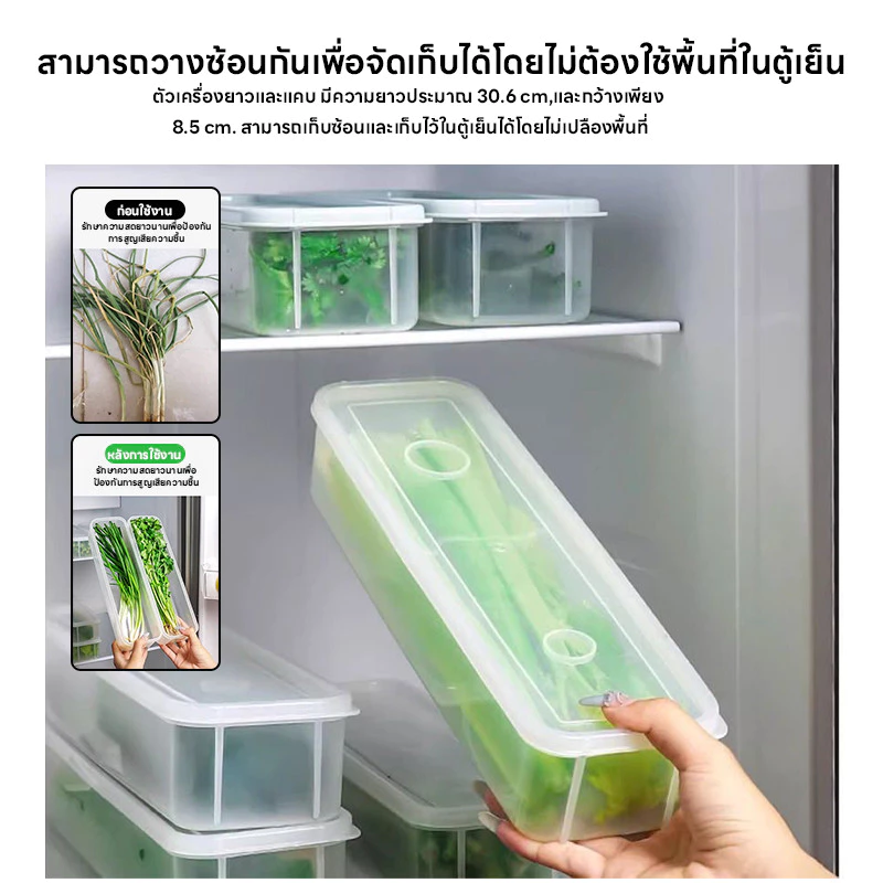 กล่องถนอมอาหาร กล่องเก็บอาหารในตู้เย็น ทำจากวัสดุ PP กล่องเก็บผักชี ต้นหอม คงความสดใหม่ของอาหาร thumbnail 7