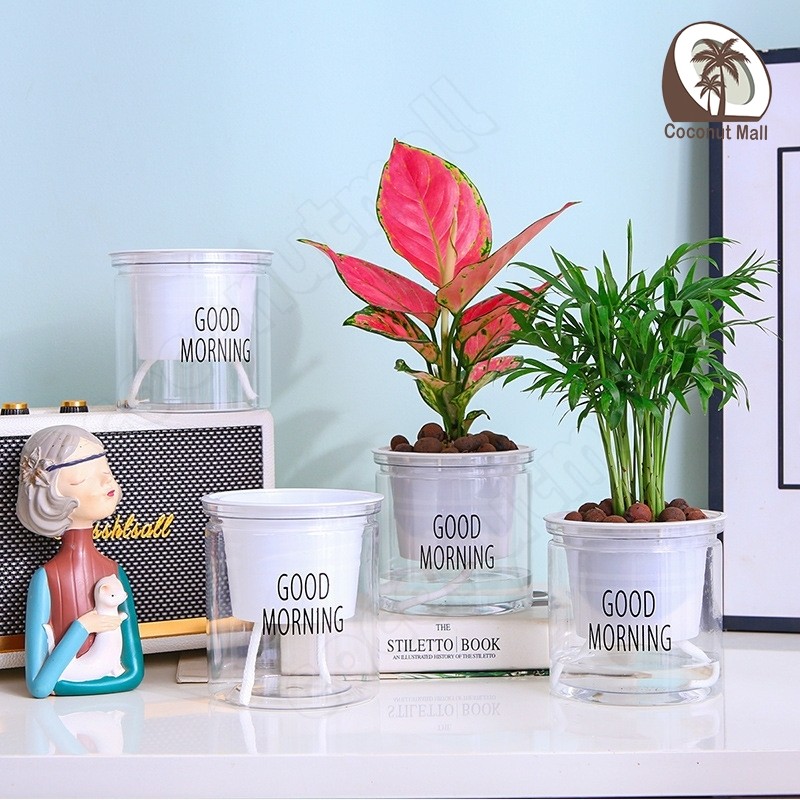 กระถางดอกไม้ Lazy Planter 💧 กระถางใสอัตโนมัติ Self-Watering วางตกแต่งบ้าน & ออฟฟิศ ดีไซน์โมเดิร์น