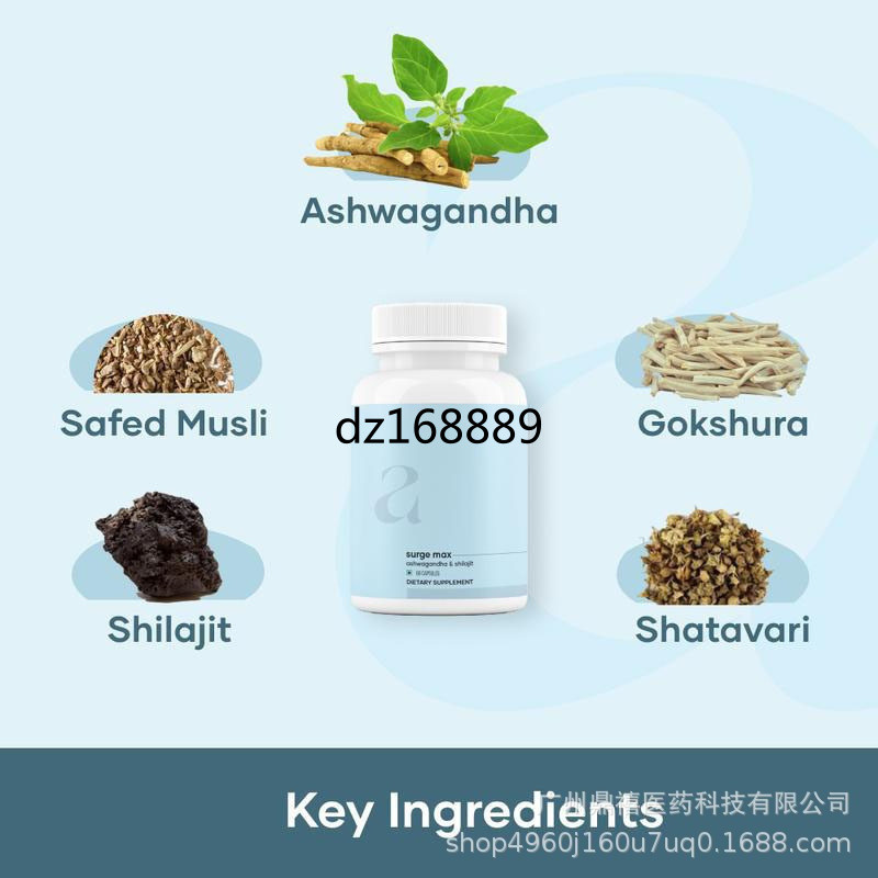 [สินค้าขายดี] พร้อมสต็อก Tongkat Ali Capsules Tongkat Ali Capsules 60 แคปซูล