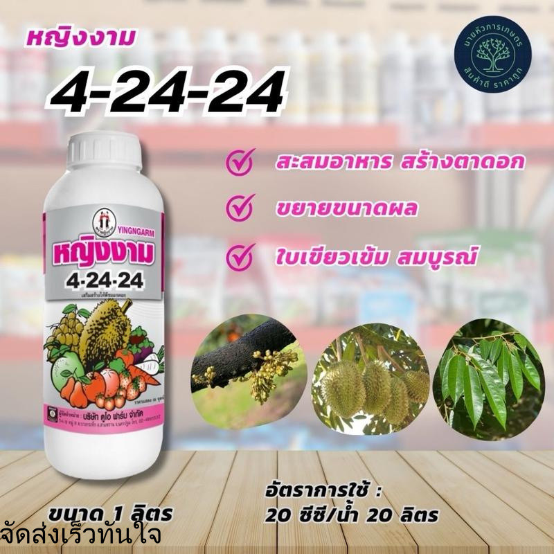 ปุ๋ยน้ำ 4-24-24 1 ลิตร ตราหญิงงาม สะสมอาหาร สร้างตาดอก สร้างแป้ง สร้างน้ำตาล ขยายขนาดผล