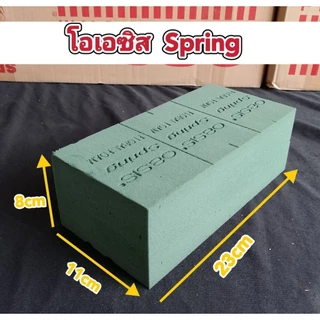 โอเอซิส Spring ลังสีแดง โฟมปักดอกไม้สด