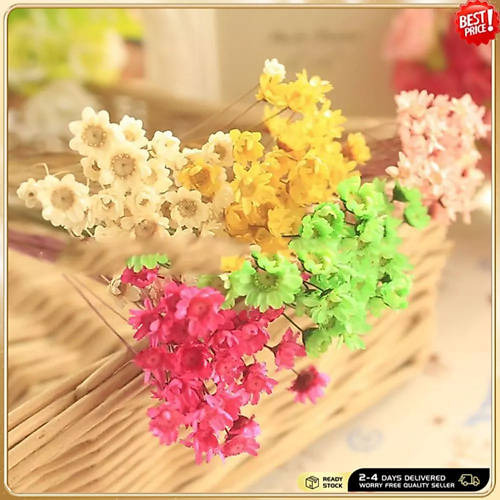 ช่อดอกไม้เดซี่แห้งขนาดเล็ก 30 ชิ้น | ดอกไม้กดธรรมชาติสีสันสดใสสําหรับงานฝีมือ DIY และตกแต่งบ้าน