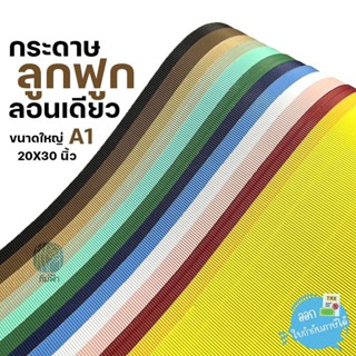 กระดาษลูกฟูก กระดาษสีลูกฟูก ลอนเดียว แผ่นใหญ่ ขนาด A1 (20x30…