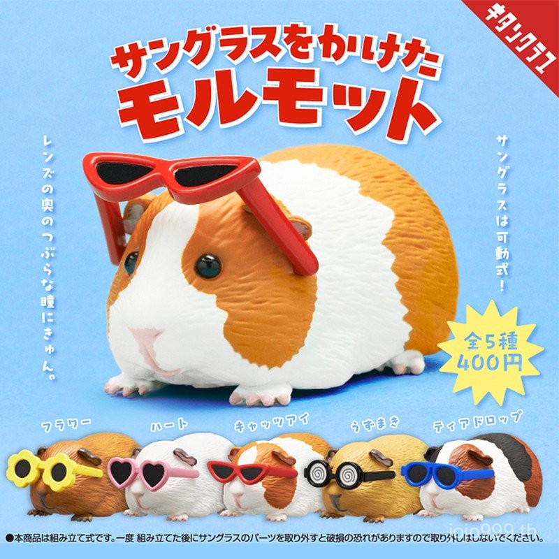 ญี่ปุ่น KITAN KITAN สวมแว่นตากันแดด Little Guinea Pig แคปซูลของเล่น Cool Guinea Pig อินเทรนด์เล่นตกแต่ง