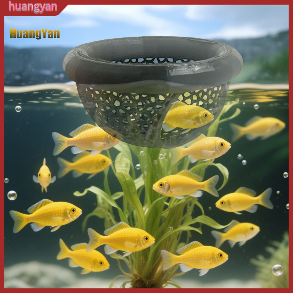 ฮวงหยาน|  3d พิมพ์ Betta ถ้ําปลา Betta Play Area 3d พิมพ์ลอย Betta Cave Hammock Feeder แหวนสําหรับ B