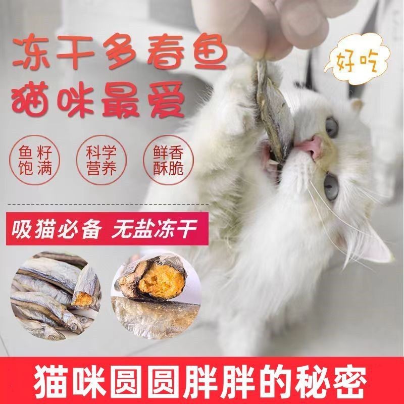 Pet Freeze-Dried Cat Snacks Duochun Fish Freeze-Dried Dog Snacks Small Fish Camp Gills อาหารแมว Desa