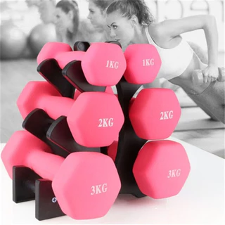ชั้นวางดัมเบล 3 ชั้น / ขาตั้งแร็คต้นไม้ดัมเบลยกน้ําหนัก / Home Gym Dumbbell Storage Rack