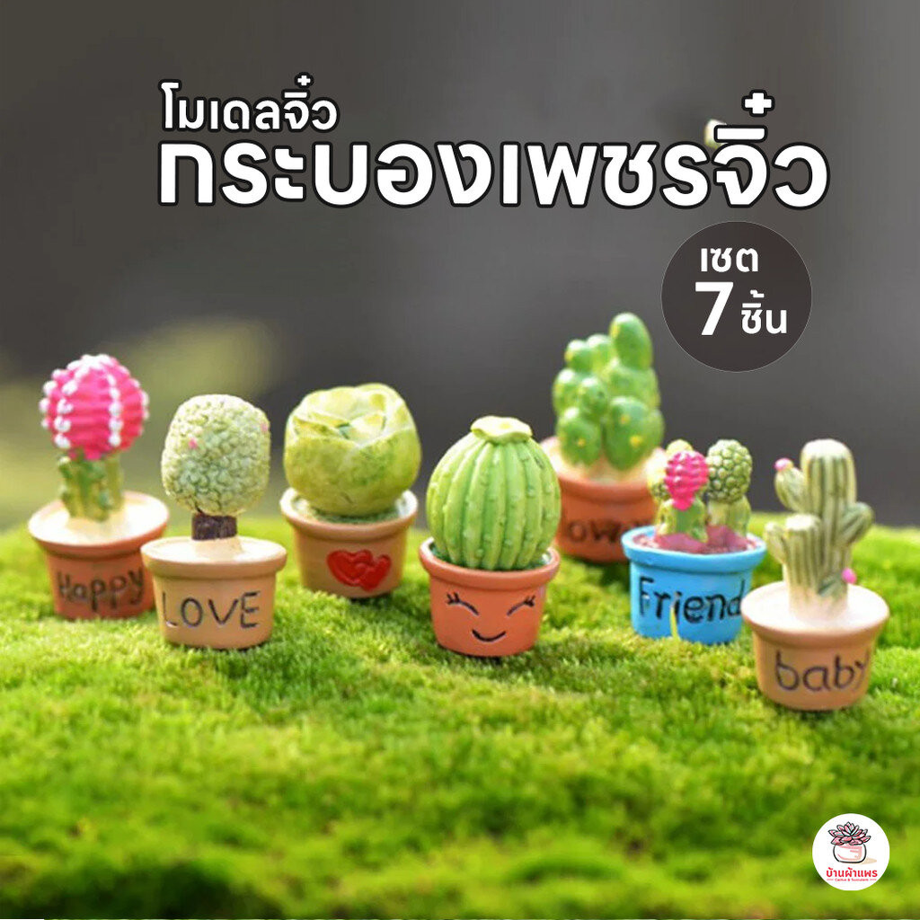 กระบองเพชรจิ๋ว ตุ๊กตาจิ๋ว โมเดลจิ๋ว แต่งสวน ตุ๊กตาแต่งสวนจิ๋ว ตุ๊กตาจัดสวนถาด