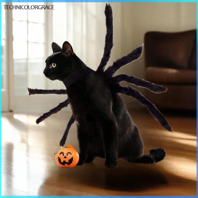 Technicolorgrace สัตว์เลี้ยงสุนัขและแมวเครื่องแต่งกายฮาโลวีน Spider Transformation ชุดสัตว์เลี้ยงแมว