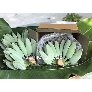กล้วยหักมุก กล้วยปิ้ง ปลอดสาร เมืองเพชรบุรี ไซด์ M 10-12 ลูก ( ตัดสด ตามออเดอร์ )
