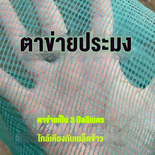 ดักปลา ลอบดักปลาใหญ่ ที่ดักกุ้งฝอย ปลาเข้าง่าย โต่ง พับเก็บง่าย เหมาะสำหรับส่วนแม่น้ำที่เชี่ยว