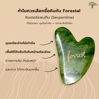 💟ของแท้ | ส่งเร็ว💟 Forestal ฟอร์เรสท์ กัวซา Jade Gua Sha
