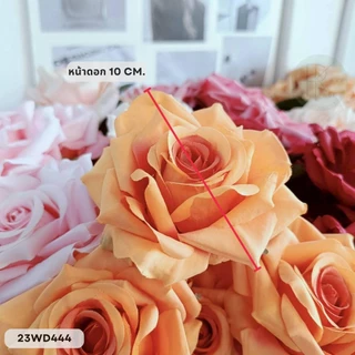 กุหลาบโลลิต้า 7 ดอก หน้าดอก 10 cm. สูง 43 cm.
