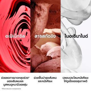 วิชี่ เดอคอส VICHY DERCOS AMINEXIL CLINICAL R.E.G.E.N. BOOSTER SERUM เซรั่มบำรุงลดปัญหาผมขาดหลุดร่วง
