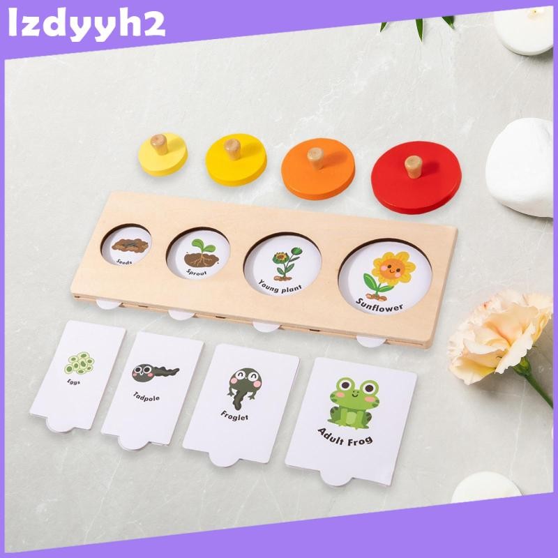 [Lzdyyh2] Life Cycle Puzzle Animal Growth Cycle Puzzle ปริศนาจิ๊กซอว์การ์ตูนสําหรับเด็ก