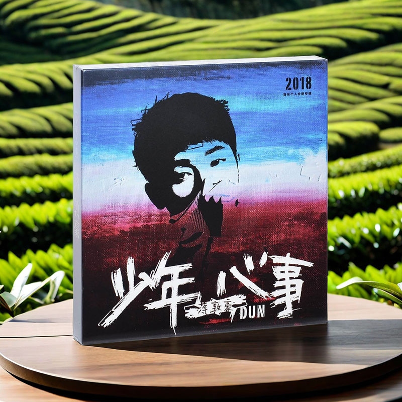 9-28-10 Places Bar Teenager-Jiang Dunhao อัลบั้ม Teenager Mind Things CD + Lyrics Photo อย่างเป็นทาง